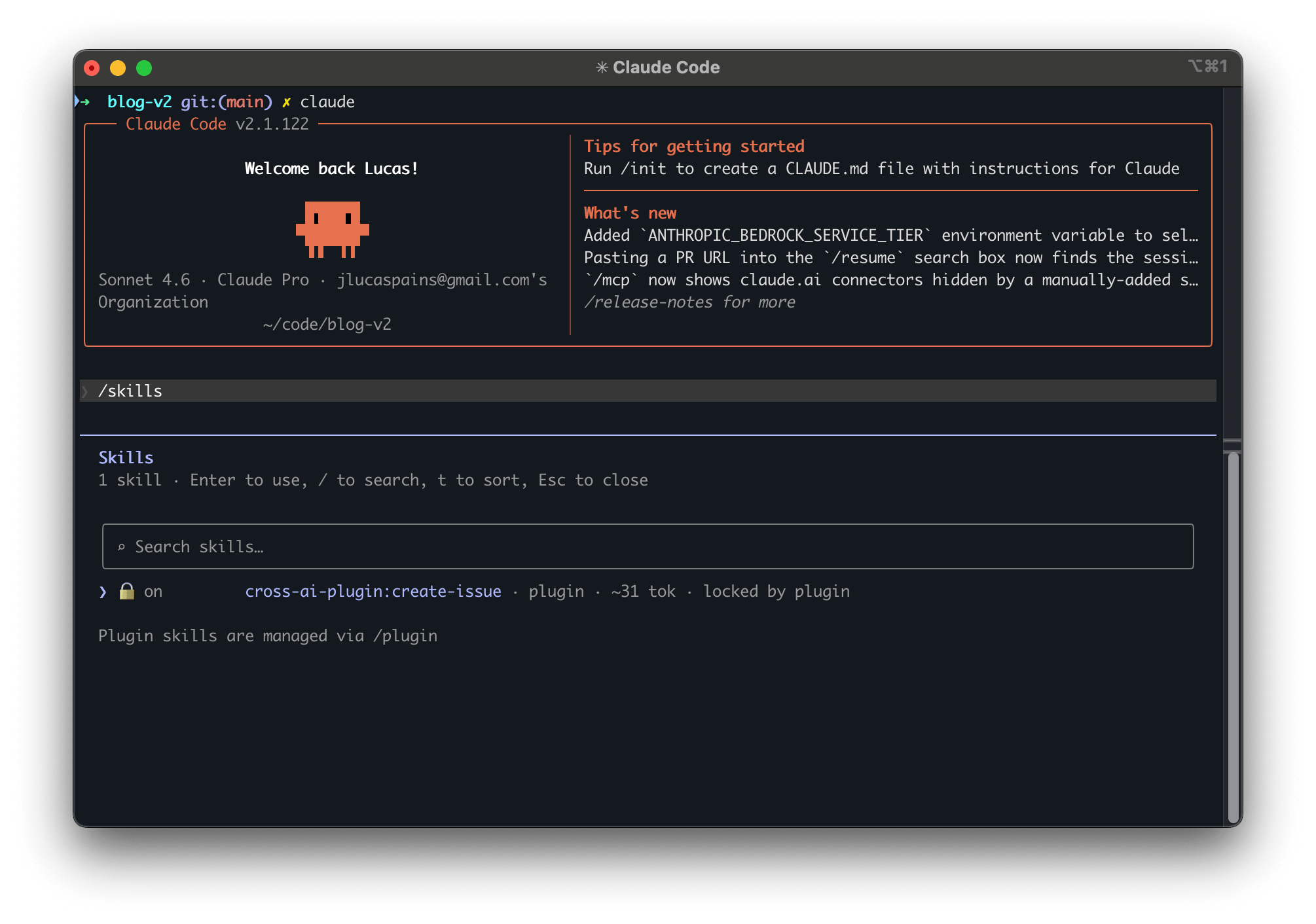 Claude Code Skills - from a plugin
