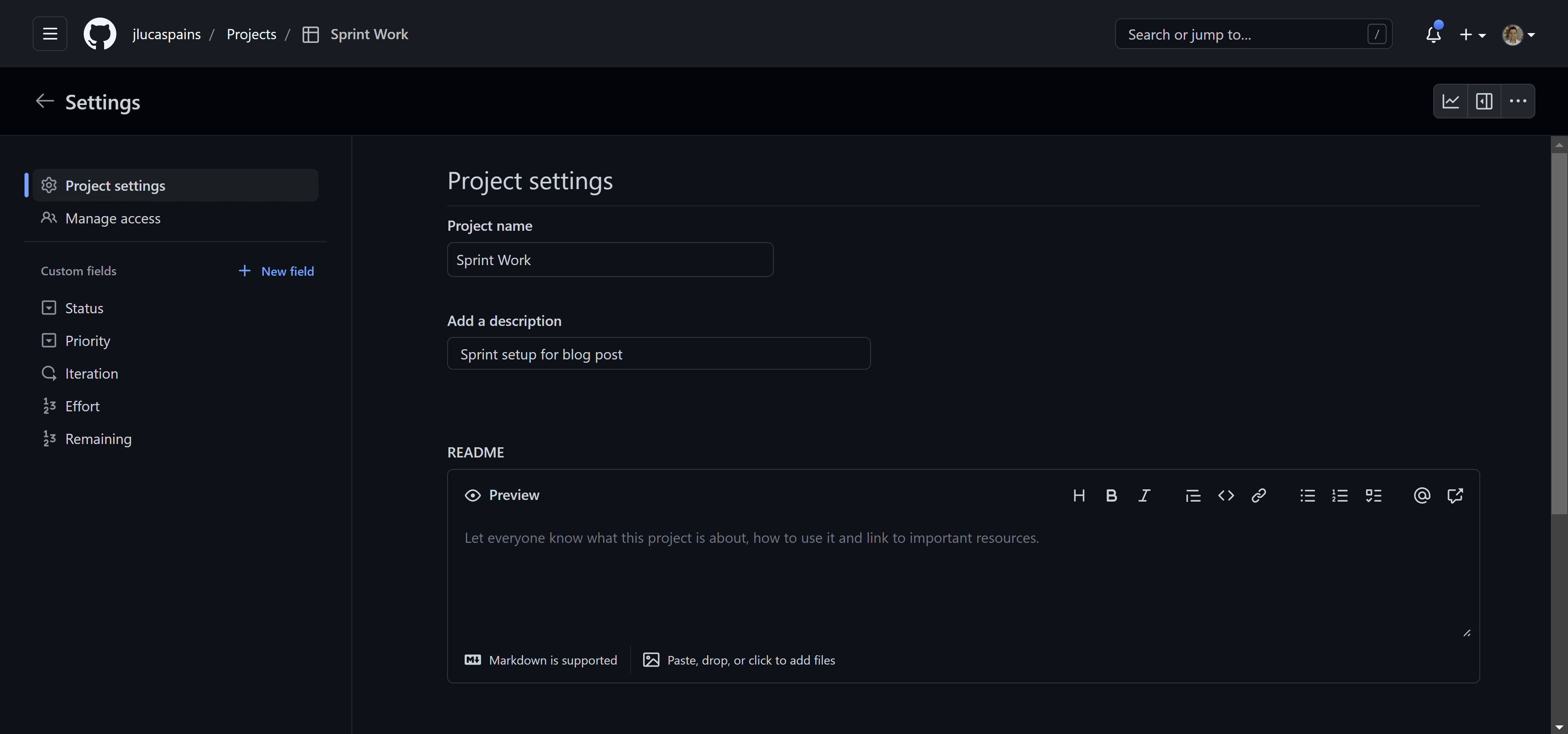 Sprint project fields