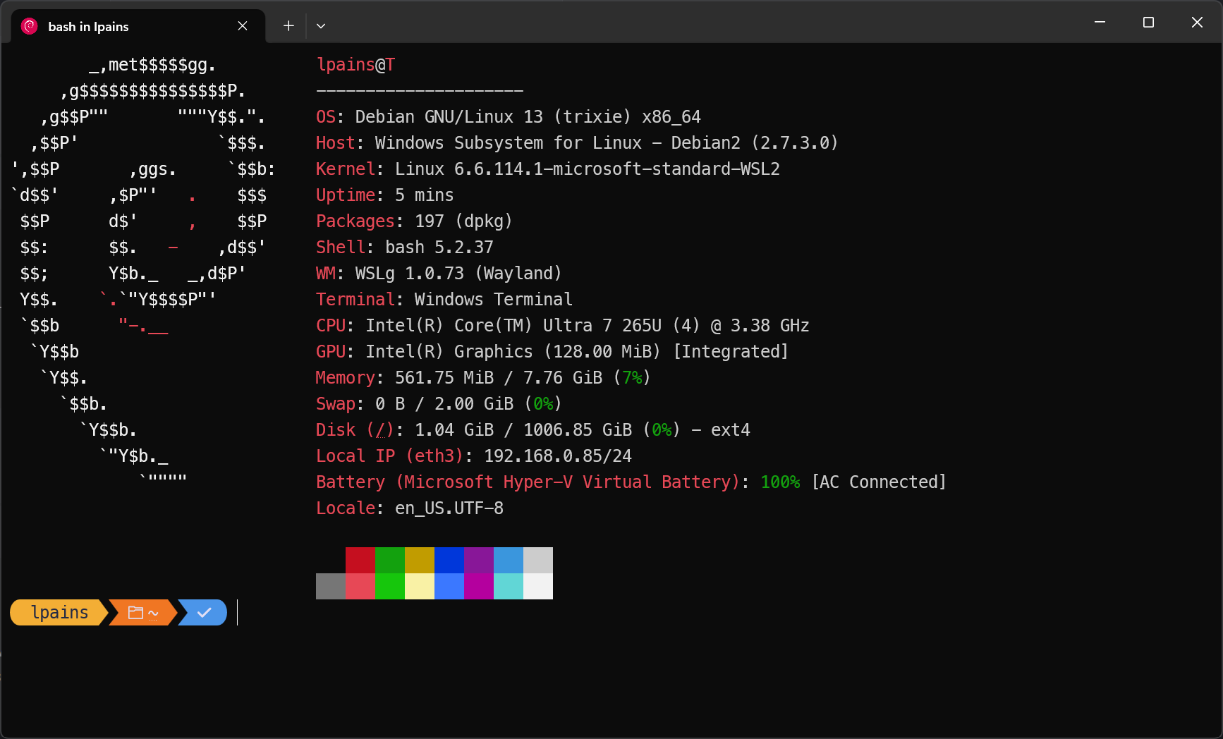 WSL2 terminal showing a custom Linux developer environment on Windows